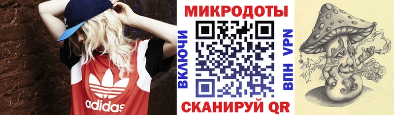 Галлюциногенные грибы мицелий  Купить где  Ивантеевка 