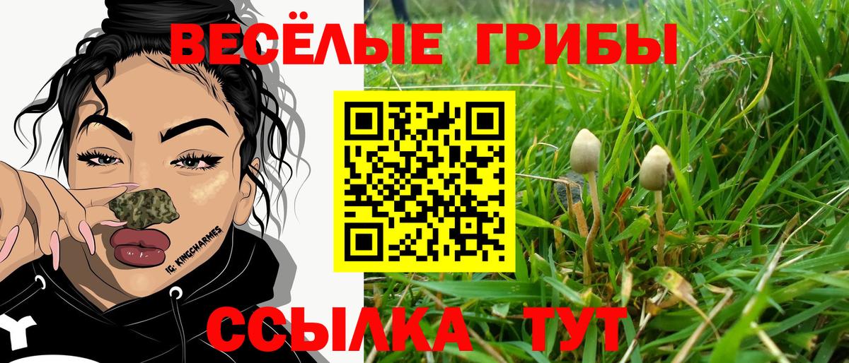 Псилоцибиновые грибы MAGIC MUSHROOMS Ивантеевка