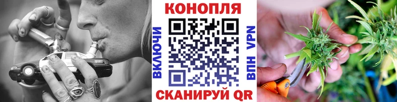 Купить  Ивантеевка  Бошки марихуана SATIVA & INDICA 